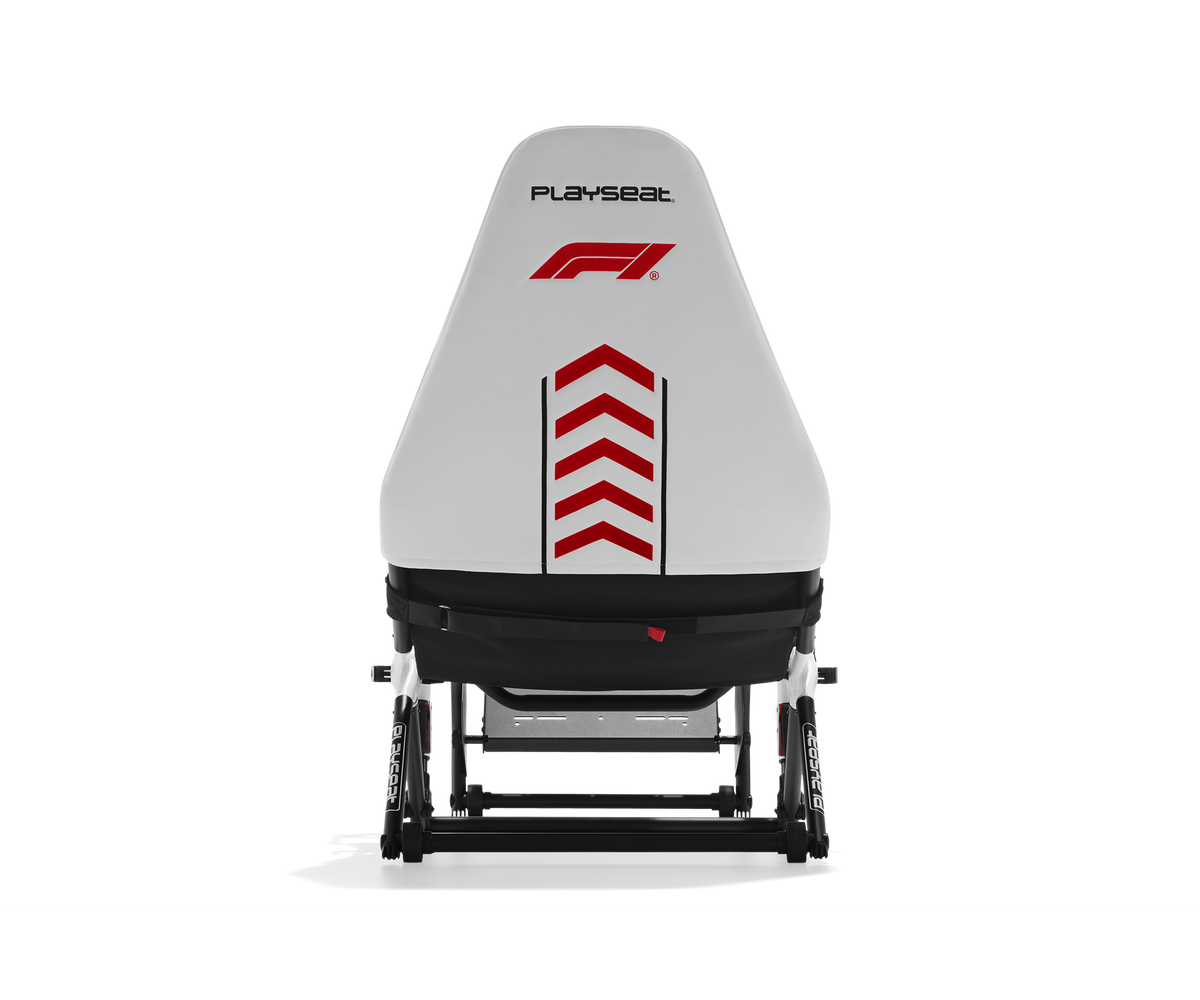 Playseat Challenge DD view from behind PNG